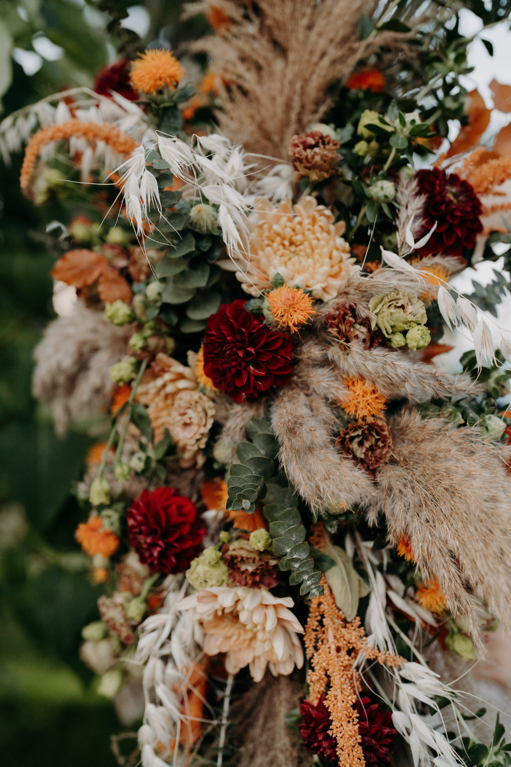 ShootingInspiration-377
