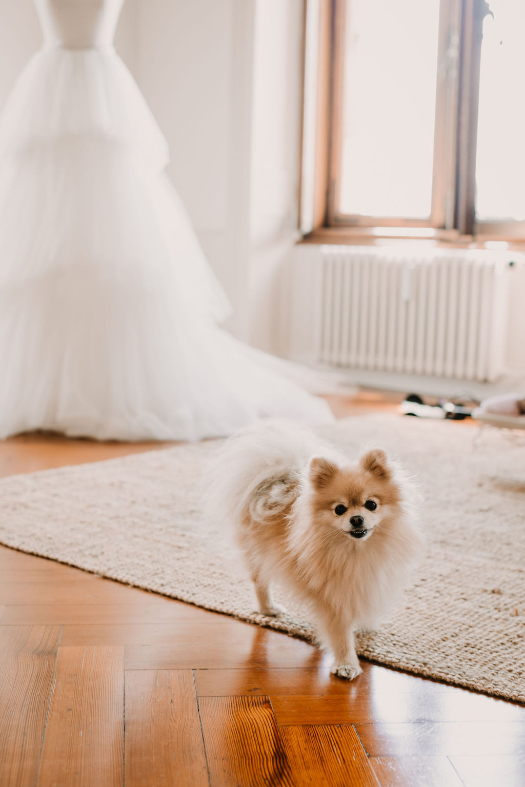 shootinginspiration(34)
